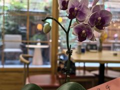 -佛有缘素食馆·荔湾老字号(陈家祠首店)