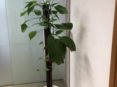 -争渡心理咨询全国连锁(福田店)