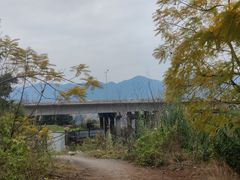 -金海湾滨江公园