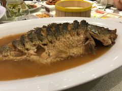 -阿庄新豫菜(航海东路店)