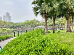 -映月湖公园