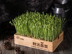 豆苗-蜀大侠火锅(森兰花园城店)