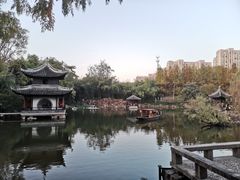 -水绘园
