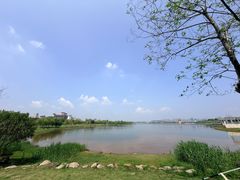 -九龙湖公园