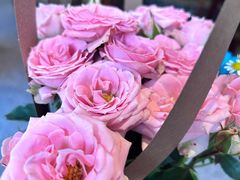 -百万叔(临湖店)