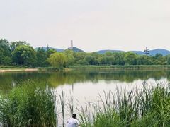 -北坞公园
