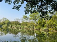 -西溪国家湿地公园