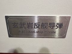 -泰达航母主题公园