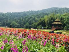 -广州市石门国家森林公园