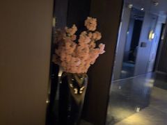 -番茄按摩·影院足道·柔足SPA(龙之道国顺路店)