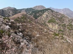 -北京鹫峰国家森林公园