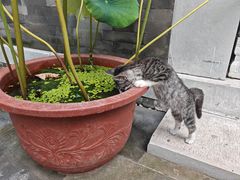 -李叔同故居纪念馆