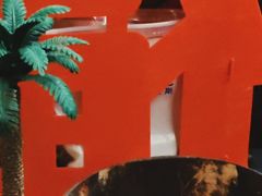 -溪岸路花鸟市场