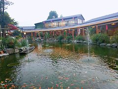 -大门水乡·顺德菜