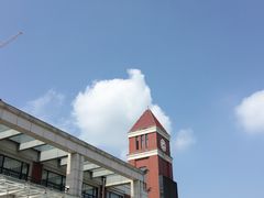 -小李子油焖大虾(天下城旗舰店)