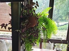 -野蔓果·山野菜(西湖景区·龙井茶田店)