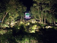 -绿光森林餐厅