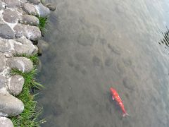 -成都杜甫草堂博物馆