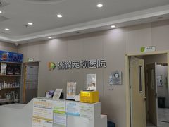 -瑞鹏宠物医院·骨外科·心肾科·肿瘤科(九亭店)