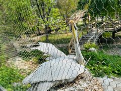 -石家庄市动物园