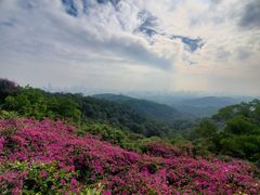 -广州市白云山风景名胜区