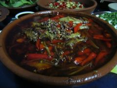 IMG_3253-黑蚂蚁(南河店)