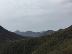 -天目湖南山竹海