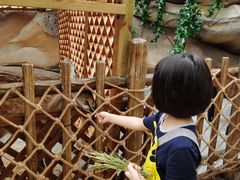 -杭州开元森泊度假乐园