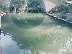 -北坞公园