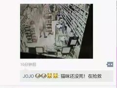 盛京一禾-盛京一禾