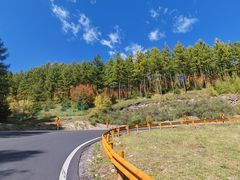 -塞罕坝国家级自然保护区