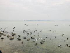 -深圳湾公园(南山区)