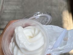 -洪馨椰子