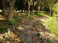 -梁鸿国家湿地公园