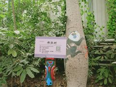 -呀路古热带植物园