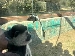 -济南野生动物世界
