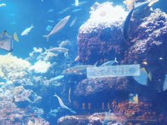 -海合安青岛极地海洋公园