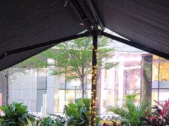 -haxnbauer海森堡德国餐厅(深圳coco店)