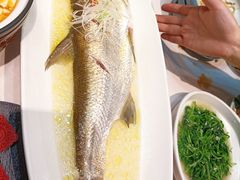 太湖白鱼-苏帮袁Sue Cuisine(南开大悦城店)