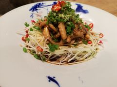 冷汁寖八爪-浑河北岸小酒馆(银河丽湾店)