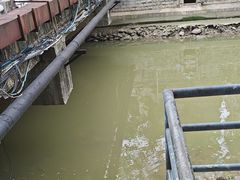 -滴水岩森林公园