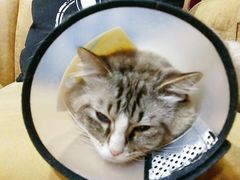 -白兔子密室(长寿路店)