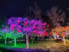 -青龙湖公园