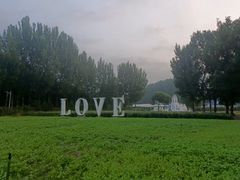 -紫海香堤香草艺术庄园