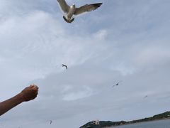 -海驴岛(荣成市)