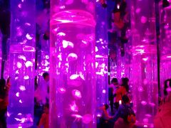 -梦幻海洋王国(吾悦广场张家港店)