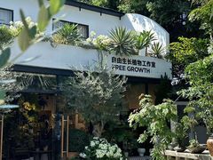 -自由生长植物工作室(深港花卉中心店)