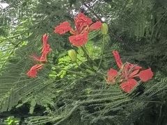 -广东中医药博物馆