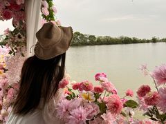 -军山湖云水间生态农业旅游景区