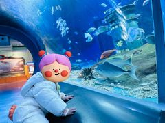 -海合安武汉极地海洋公园